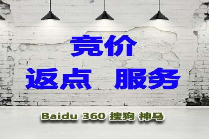 SEM公司案例分析：搜索引擎优化策略与执行
